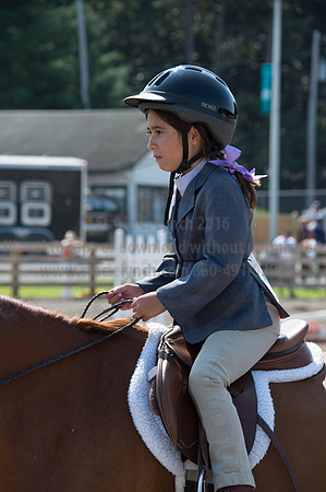 2016DCF_08242016_SCL_8743