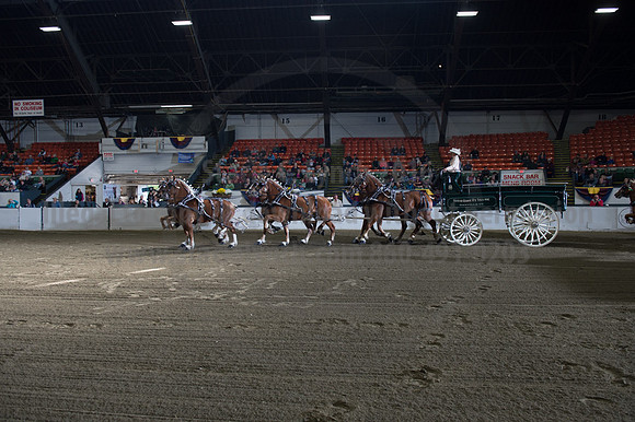 NABC8_10142016_SCL_8534