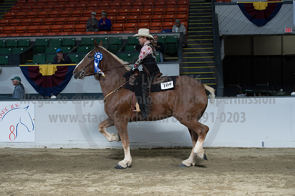 NABC8_10142016_SCL_8393