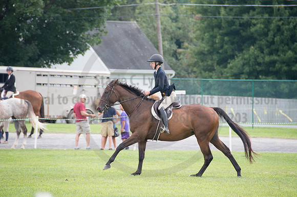 2016DCF_08252016_SCL_0041