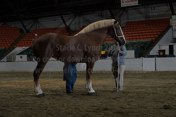NABC8_10152016_SCL_1849