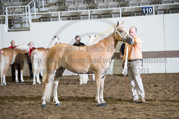 ISF_08192016_SCL_4121