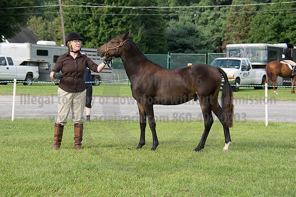 2016DCF_08252016_SCL_9570