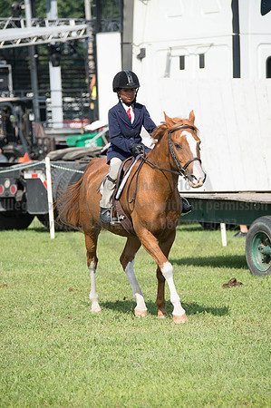 2016DCF_08262016_SCL_0292