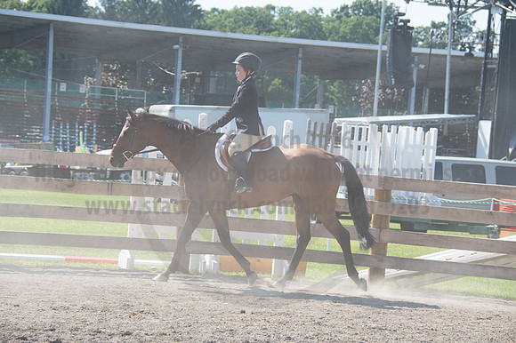 2016DCF_08242016_SCL_9291