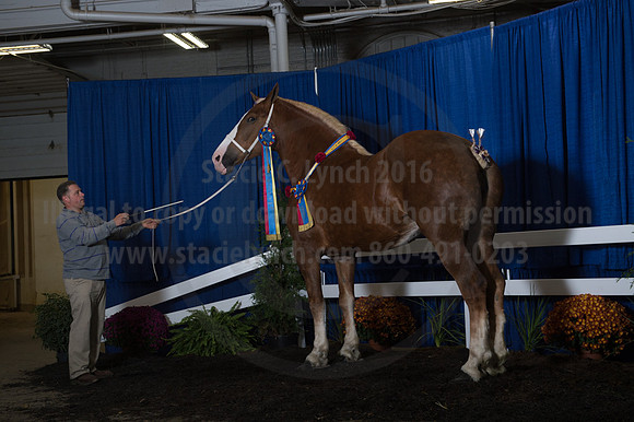 NABC8_10152016_SCL_1880