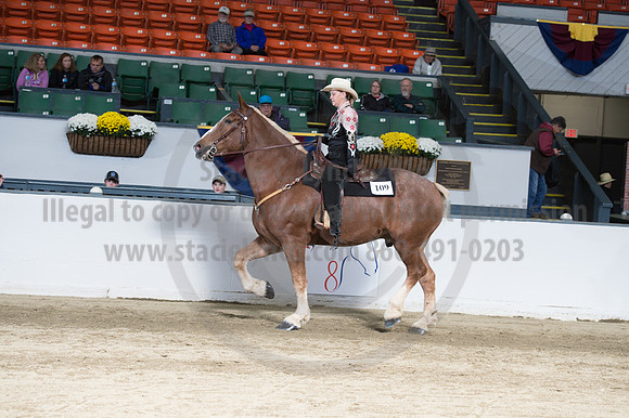 NABC8_10142016_SCL_8338