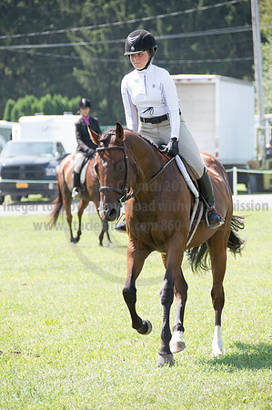 2016DCF_08262016_SCL_0658