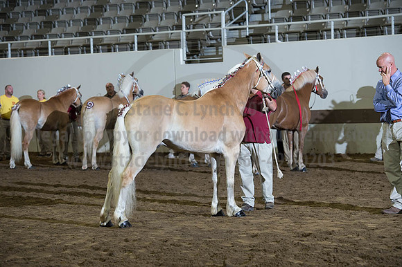 ISF_08192016_SCL_4700
