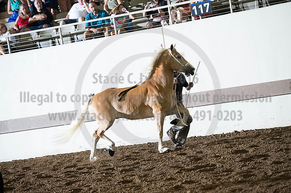 ISF_08192016_SCL_5761