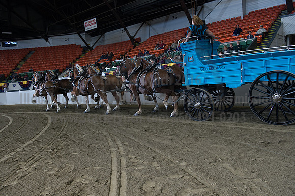 NABC8_10142016_SCL_8623