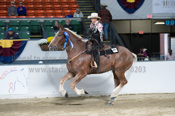 NABC8_10142016_SCL_8400