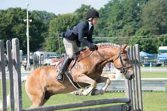 2016DCF_08262016_SCL_0235