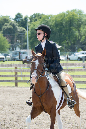 2016DCF_08242016_SCL_9208