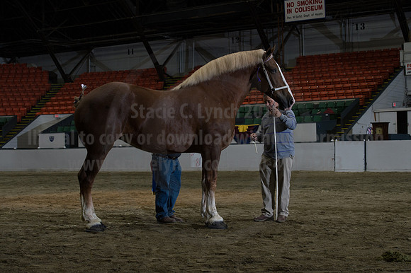 NABC8_10152016_SCL_1846