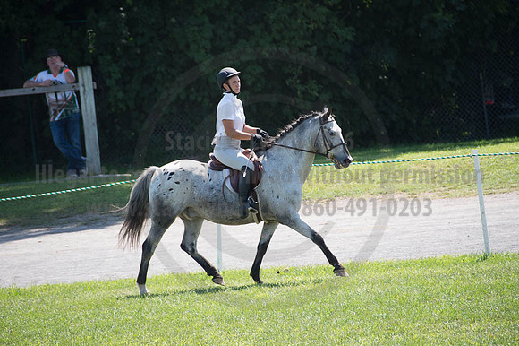 2016DCF_08262016_SCL_0535