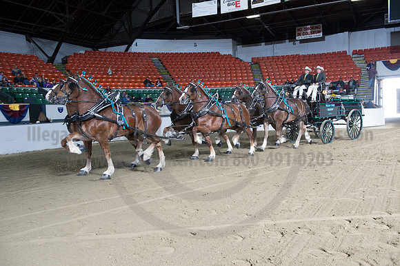 NABC8_10142016_SCL_8616