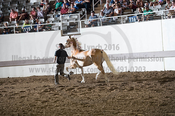 ISF_08192016_SCL_5758