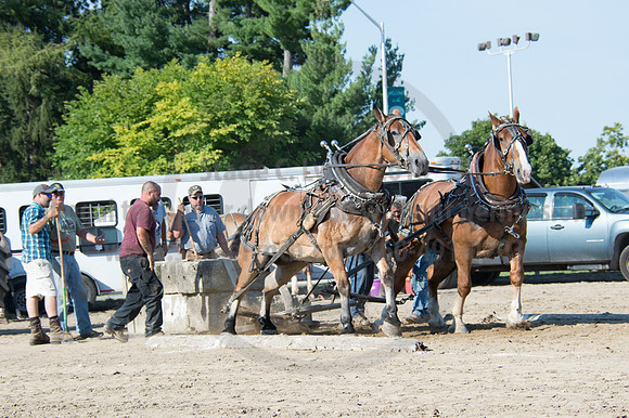 2016DCF_08242016_SCL_9435
