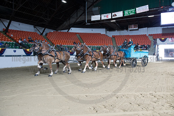 NABC8_10142016_SCL_8612