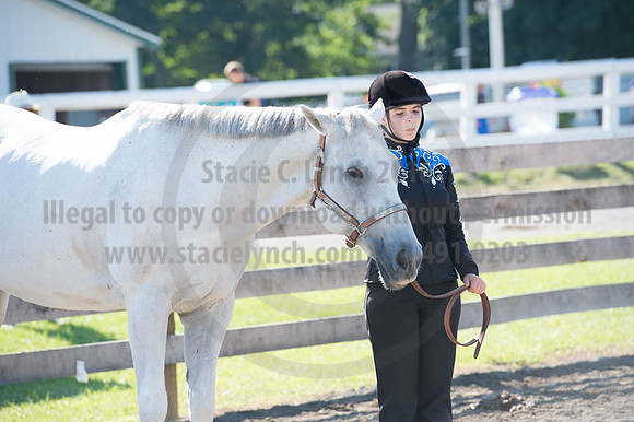 2016DCF_08272016_SCL_1011
