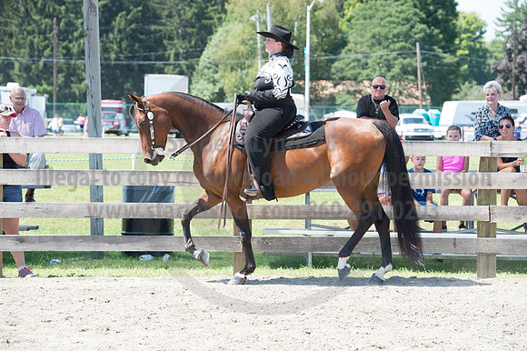 2016DCF_08272016_SCL_1303