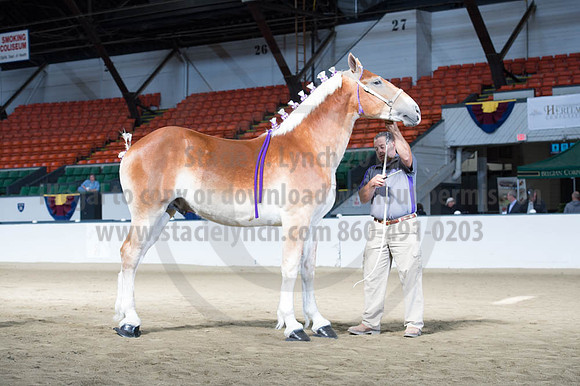 NABC8_10122016_SCL_2902