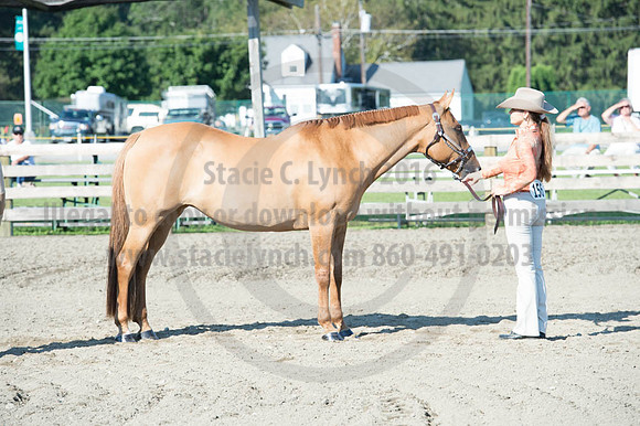 2016DCF_08272016_SCL_0968