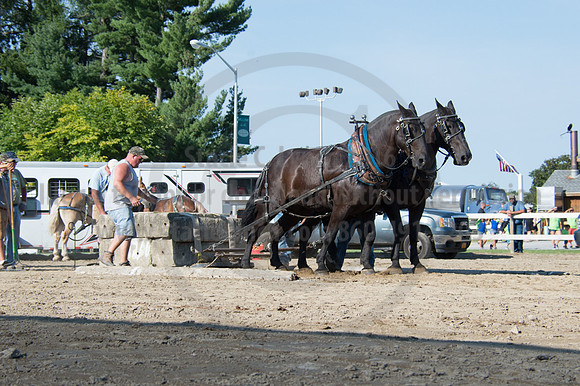 2016DCF_08242016_SCL_9463