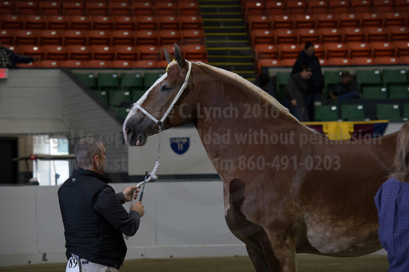 NABC8_10132016_SCL_5315
