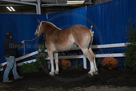 NABC8_10152016_SCL_1969
