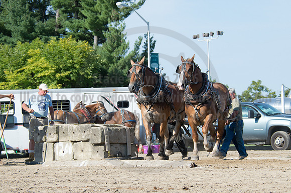 2016DCF_08242016_SCL_9484