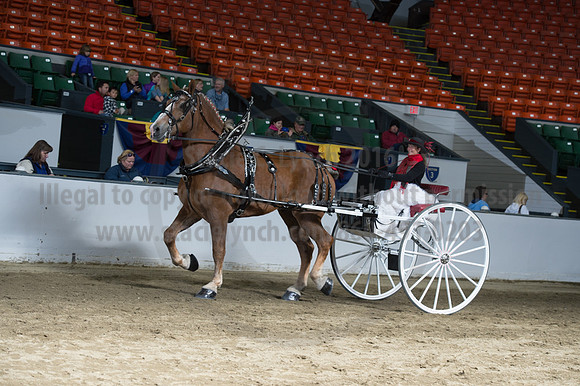 NABC8_10142016_SCL_8402