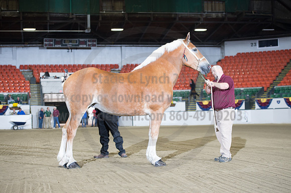 NABC8_10132016_SCL_5056