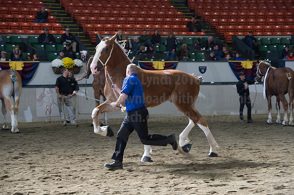 NABC8_10122016_SCL_2864