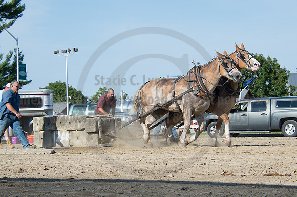 2016DCF_08242016_SCL_9480