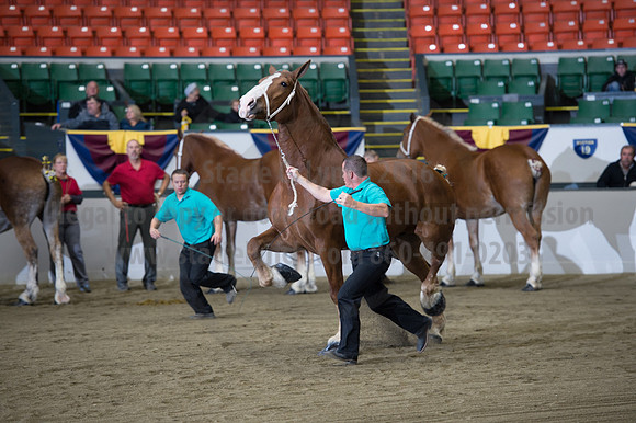 NABC8_10132016_SCL_5216