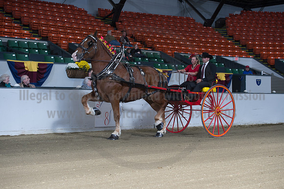 NABC8_10152016_SCL_0352