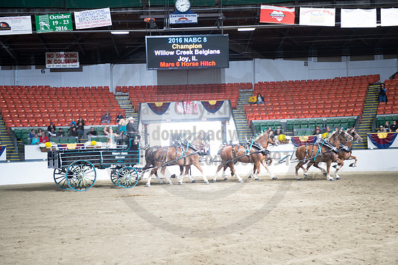 NABC8_10142016_SCL_8841