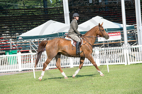 2016DCF_08242016_SCL_8570