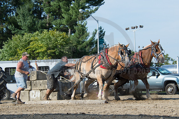 2016DCF_08242016_SCL_9557