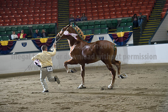NABC8_10122016_SCL_4162