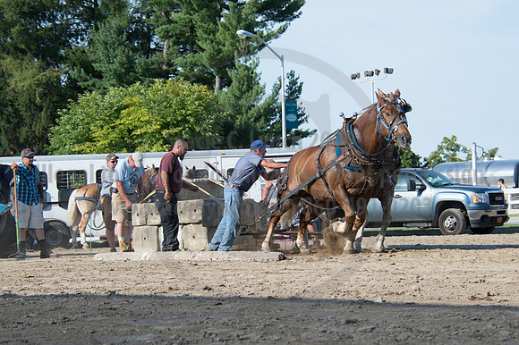 2016DCF_08242016_SCL_9509