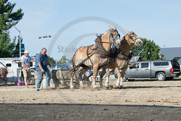 2016DCF_08242016_SCL_9501