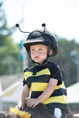 2016DCF_08272016_SCL_1281