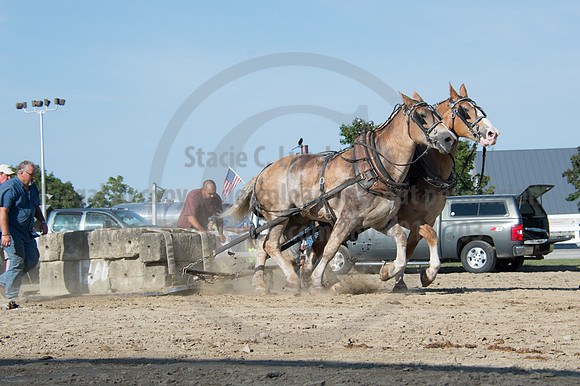 2016DCF_08242016_SCL_9482