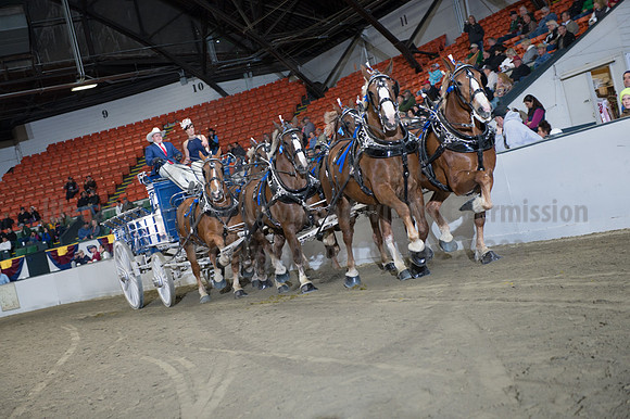 NABC8_10142016_SCL_8699