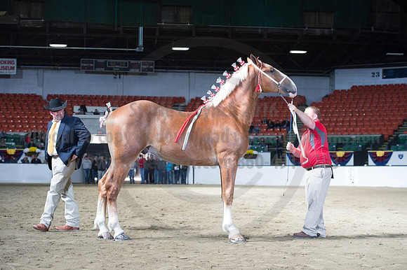 NABC8_10122016_SCL_2915
