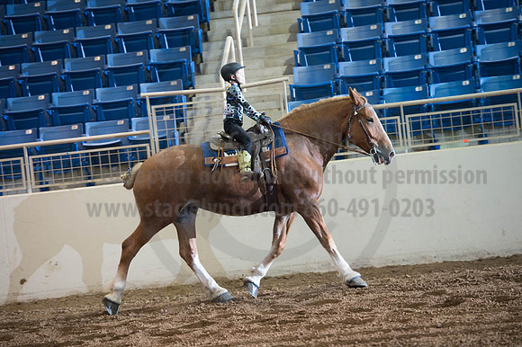 2016 _KILE_10082016_SCL9501