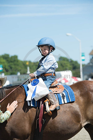 2016DCF_08272016_SCL_1213